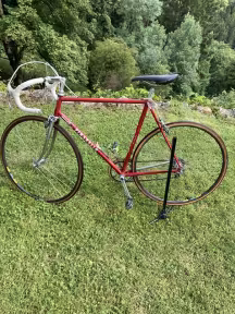 Pinarello Treviso