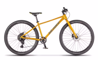Beany Blaster Xc 27.5