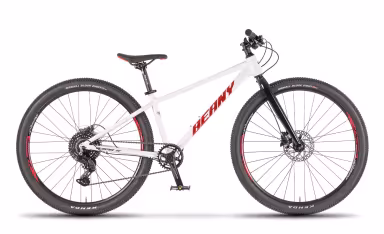 Beany Blaster Xc 27.5