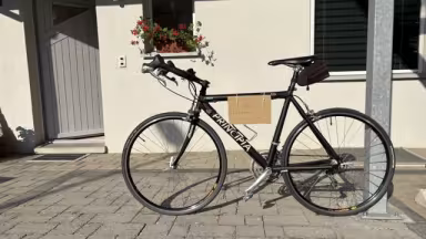 Principia Rennrad