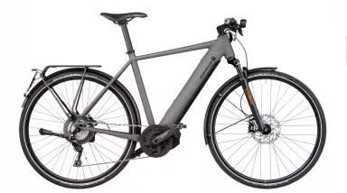 Riese & Müller Roadster4 Touring Hs