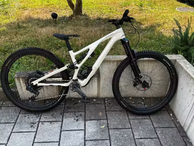 SPECIALIZED Sj Evo Expert Brach/Tpe S3