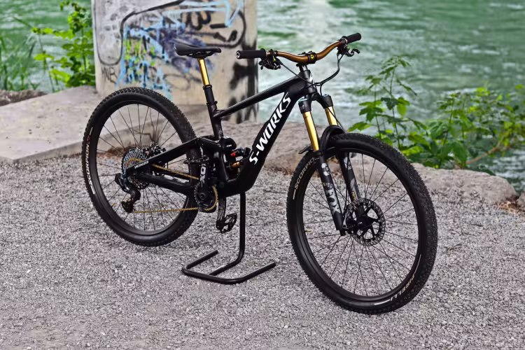 SPECIALIZED Enduro S-Works Custom