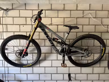 Pivot Phoenix 29