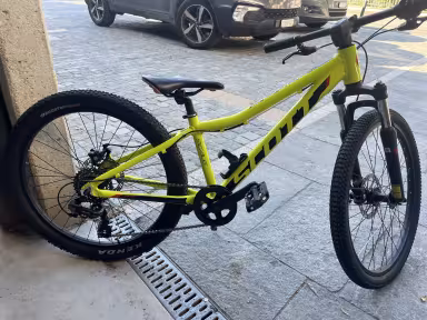 SCOTT Scale 24