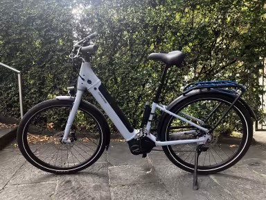 Cannondale Adventure Neo 3.1 EQ