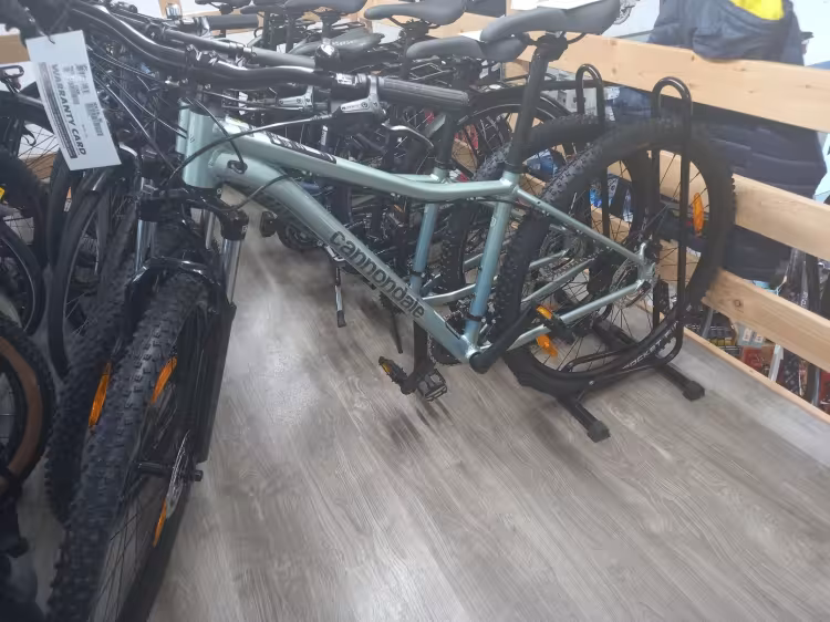 Cannondale Trail 8