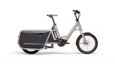 Qio Long P9
