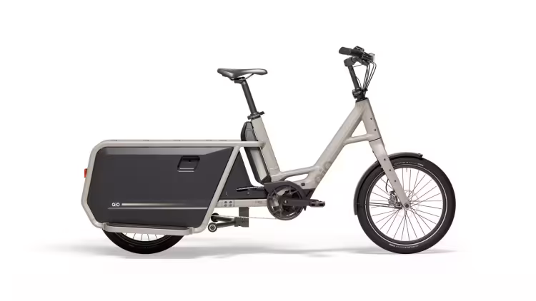 Qio Long P9