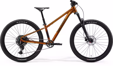 MERIDA Matts J. Champion