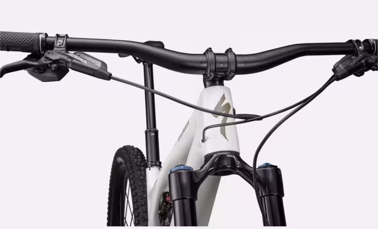 SPECIALIZED Stumpjumper EVO Expert Carbon