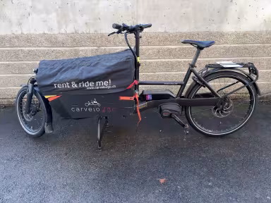 Riese & Müller Pack.60 Vario Tcs