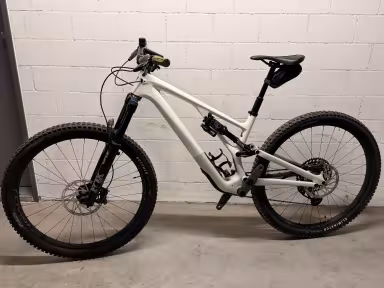 SPECIALIZED Stumpjumper EVO Expert Carbon