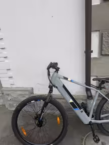 Totem E-Bike Mountainbike 29" Orra L/Xl Hellgrau