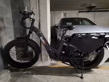 Miloo Cargo Beast 45Km/H