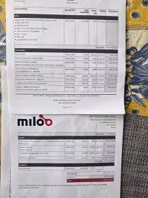 Miloo Cargo Beast 45Km/H