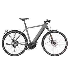 Riese & Müller E-Bike Roadster4 Mixte Touring 45