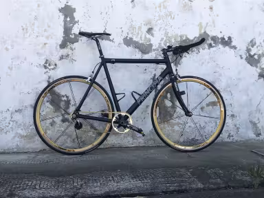 Principia Rex Pro