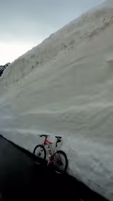 SPECIALIZED S-Works