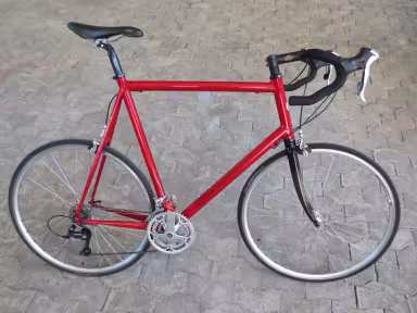 STORCK Scenario