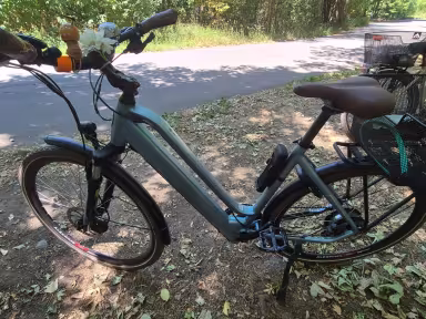 Allegro City-Bike