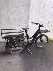 Riese & Müller Multicharger Mixte Gt Vario Hs