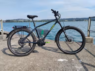 Custom High-End E-Bike Suv – 2350Wh Akku, 135Nm