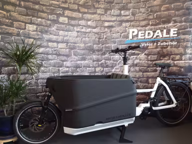 Riese & Müller Packster 70 Vario