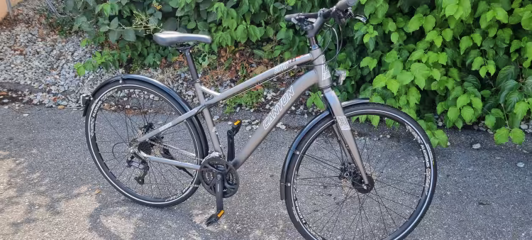 Canyon Flipper