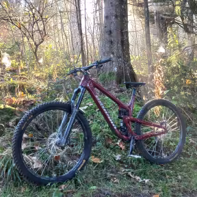 Propain Tyee 5 Cf
