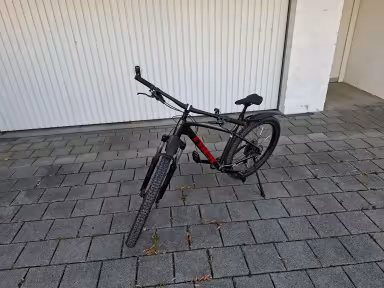 TREK Roscoe 6