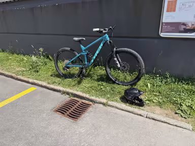 TREK Remedy 7