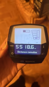 Riese & Müller Charger