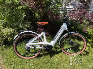 Cresta Eviva Gt