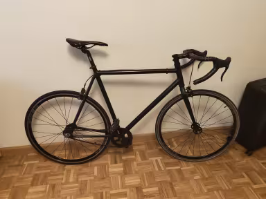 Custom Single Speed