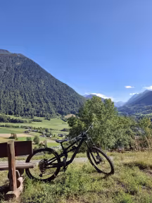 Canyon Torque Cf 7.0