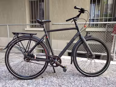 Batavus Suerte Exclusive