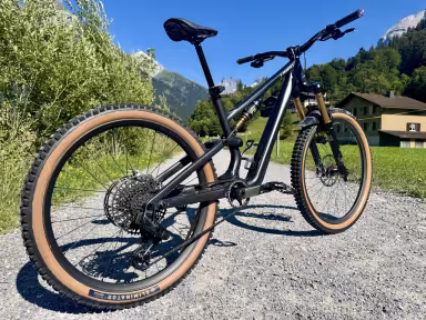 SPECIALIZED Stumpjumper 15 S-Works Custom