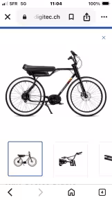 Ruff Cycles Biggie