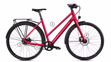 MTB CYCLETECH Ronin Lady Alfine 8 Gates