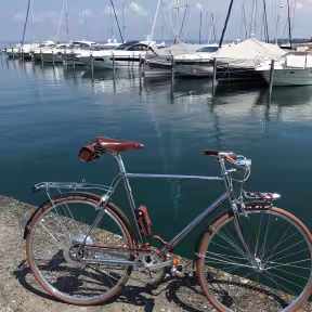 All-City Bella Citta