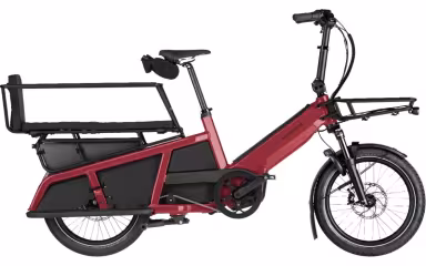 Riese & Müller Multitinker 2 Vario