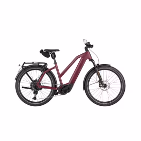Riese & Müller E-Bike