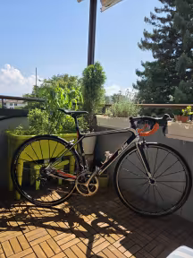KTM Revelator Alto Prime