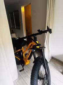 Miloo Mighty Beast 45 Km/H