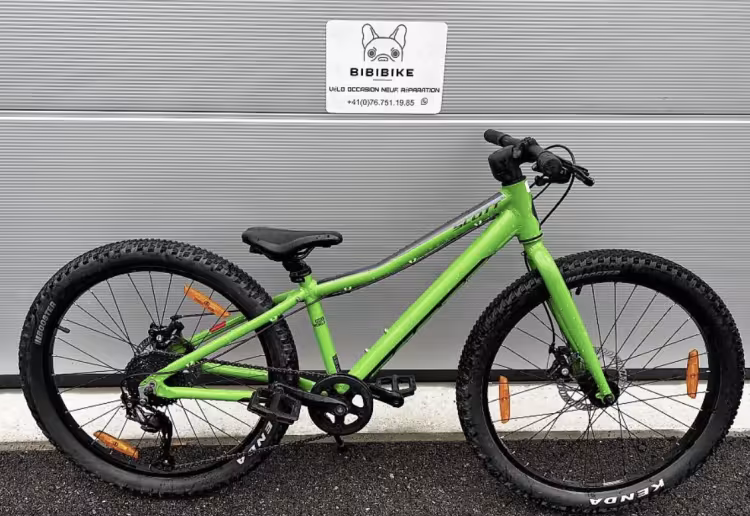 SCOTT Scale 24