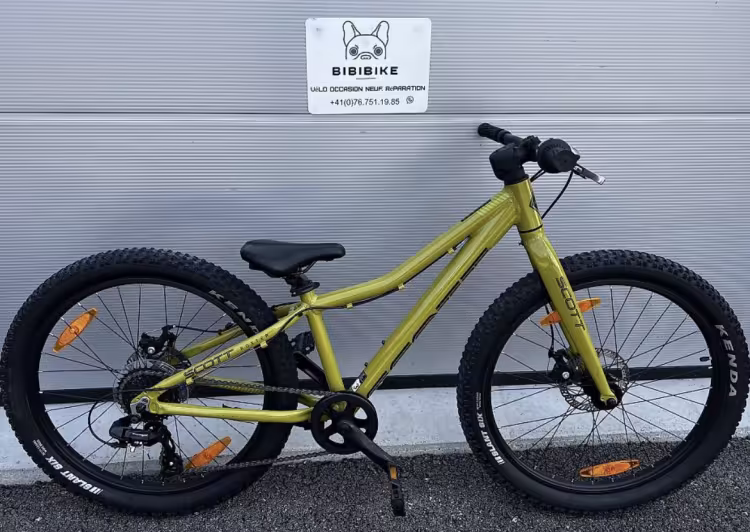 SCOTT Roxter 24