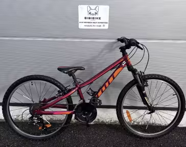 SCOTT Scale 24