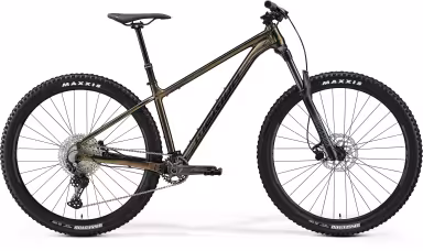 MERIDA Big Trail