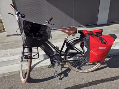 Electra Loft Go 5I